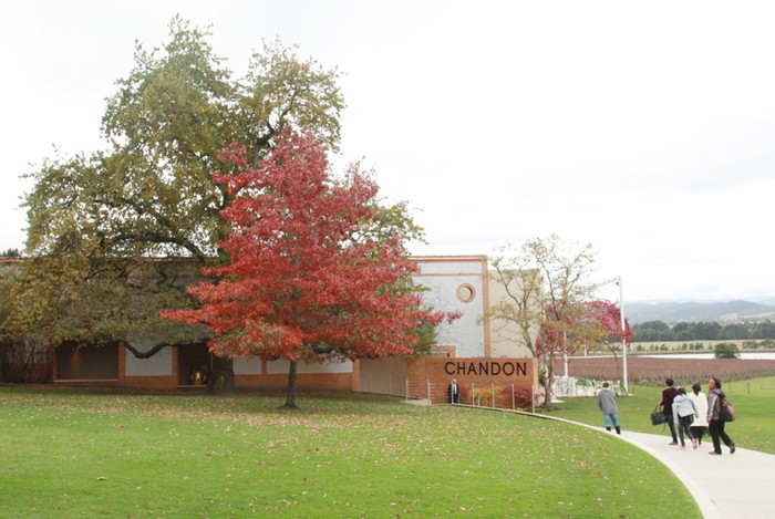Yuk, Melihat Kebun Anggur & Pembuatan Wine di Australia