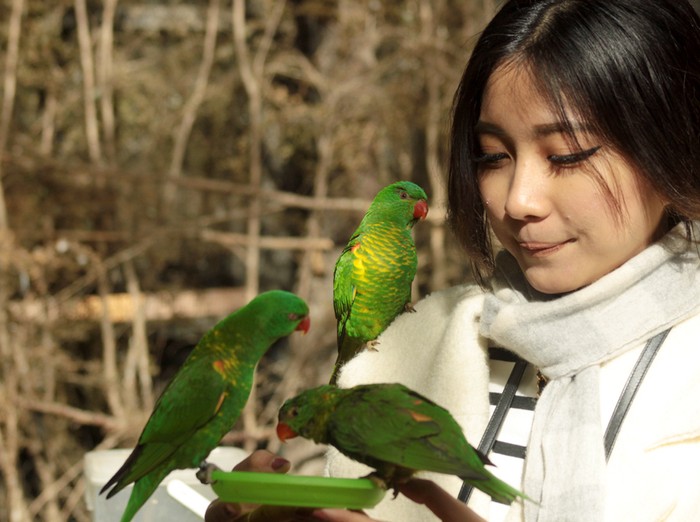 Kebun Binatang Penuh Hewan Lucu Khas di Australia