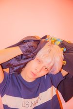 Siap-siap Shawol, SHINee is Back!