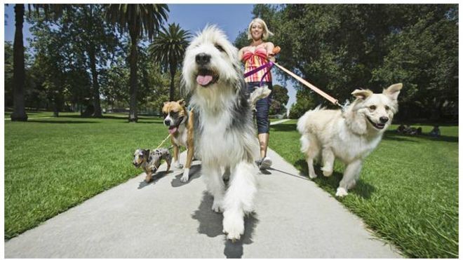Pekerjaan Boleh Tak Keren, Tapi Gajinya Miliaran