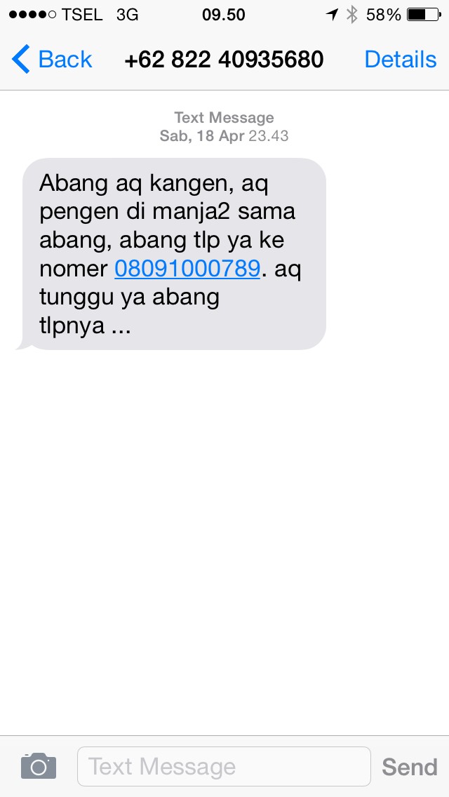 Joni Minta Polisi Tertibkan SMS Nakal Demi Selamatkan Rumah Tangga