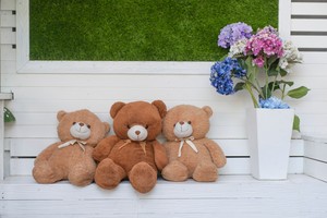 Boneka Beruang Ini Hadir untuk Kurangi Rasa Takut Anak Terhadap Dokter