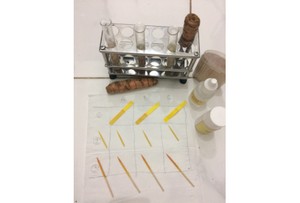 Dianggap Tak Orisinil, Ini Tanggapan Penemu Tusuk Gigi Pendeteksi Boraks