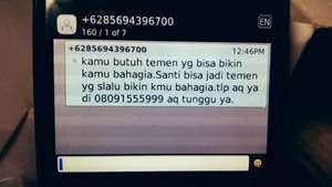 SMS Esek-esek Berpotensi Jadi Modus Penipuan, Segera Laporkan!