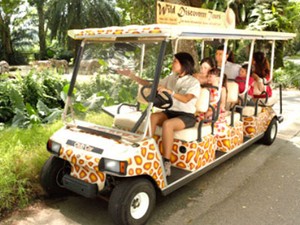 Libur Panjang, Ini Tur Seru di Kebun Binatang Singapura