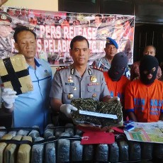 Berikut Kronologi Pengungkapan Kasus Ganja 42 Kg