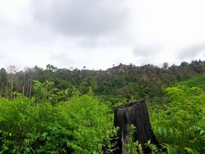 Ini Dia Tembok Besar Tiongkok Ala Kalimantan Timur