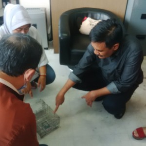 Ini Alasan Wagub Djarot Minta PNS di Balai Kota Melakukan Pembersihan Tikus