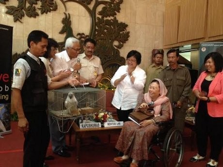 Sinta Nuriyah Serahkan Jacob yang Mengingatkannya akan Gus Dur ke Menhut