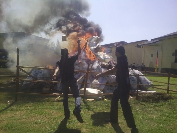 Polda Aceh Musnahkan 11,6 Ton Ganja Kering