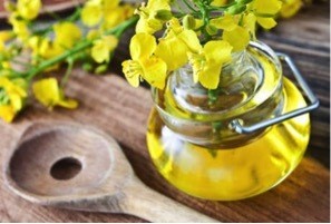Gunakan Minyak Kanola dan Minyak Jagung Agar Menu Harian Lebih Sehat