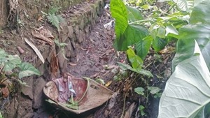 Guru SD di Sukabumi Ditemukan Tewas Bersimbah Darah di Belakang Sekolahnya