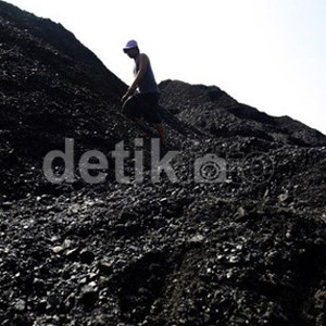 Dari 10.922 Perusahaan Batu Bara di RI, Baru 21% yang Membayar Pajak