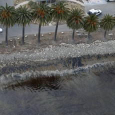 Saluran Pipa Pecah di Pantai California, Tumpahkan 79 Ribu Liter Minyak