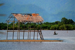 Menjaring Ikan