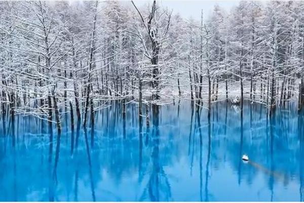 Inilah Danau Biru yang Jadi Gambar Wallpaper Apple