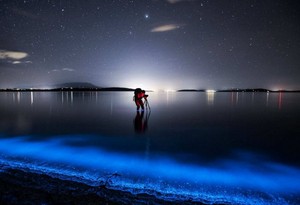 Fenomena Langka! Laut di Australia Bercahaya
