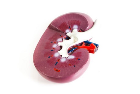 Terlalu Banyak Konsumsi Protein, Pengaruhnya Bisa ke Ginjal