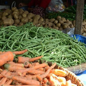 Peneliti IPB Rakit Genotipe Buncis Varietas Unggul