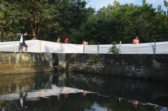 Kerja Keras Membangun Rumah Istri Mbah Kodok, Peri Setyowati di Ngawi