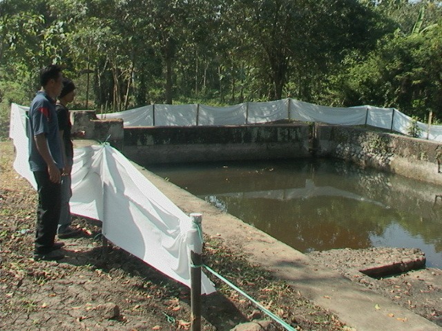Dibangun di Bekas Kolam, Begini Wujud Rumah Peri Setyowati yang Ditutup Mori