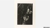Lima Foto Paling Ikonik di Abad 20