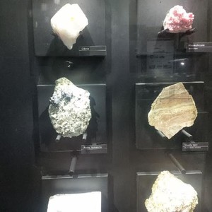 Ini Foto-foto Batu Akik nan Menawan yang Dipamerkan di Museum Geologi