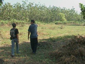 Dari Rumah Perhutani Menjadi Rumah Peri
