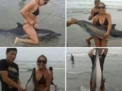 Netizen Cari Turis Kejam yang Tunggangi Lumba-lumba