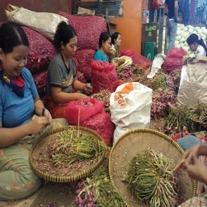 Harga Bawang Brebes Mahal, Bawang Merah Impor Merajalela