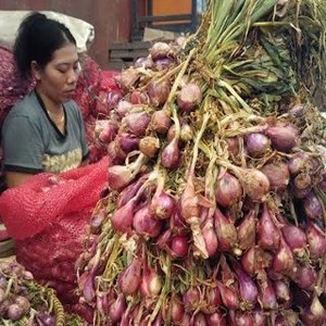 Bawang Merah Impor Merajalela, Pemerintah Pastikan Belum Keluarkan Izin