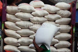 Juni-Juli Ada Panen 7,1 Juta Ton, Pemerintah Belum Akan Impor Beras