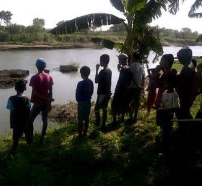 Heboh Buaya di Kali Porong, Selalu Muncul Saat Sore Hari