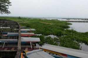 Sudah Tahu? Ada Bukit Cinta di Rawa Pening, Semarang