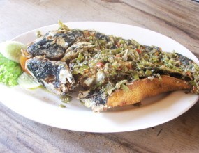 Ikan Patin Goreng Plus Sambal yang Pedas Menggigit untuk Santap Malam