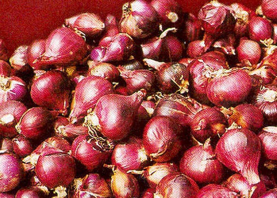 RI Bakal Buka 4.000 Hektar Lahan Bawang Merah Tahun Ini
