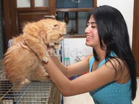 Lina Marlina dan kucing kesayangannya. Asep Syaifullah/detikHOT.