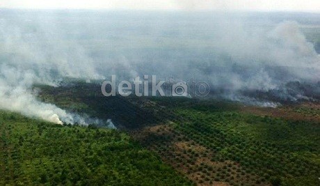 Kasus Perambahan Hutan, Eks Kapolsek Siak Dihukum 3 Tahun