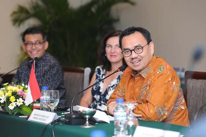 RI Gandeng Swedia Kerjasama Penggunaan Energi Terbarukan