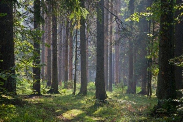 Lakukan 5 Hal Ini Kalau Ingin BAB Saat Naik Gunung