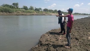 Interaksi sejak 2013, Pemuda ini Ngaku Akrab dengan Buaya Putih Kali Porong