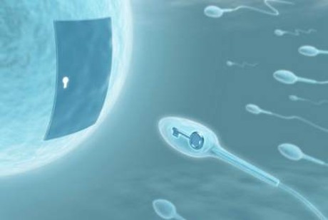 Ingin Sukses Bayi Tabung? Gunakan Sperma dari Semburan Pertama