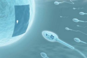 Ingin Sukses Bayi Tabung? Gunakan Sperma dari Semburan Pertama