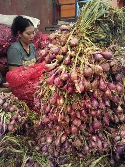 RI Impor Bibit dan Bubur Bawang Merah