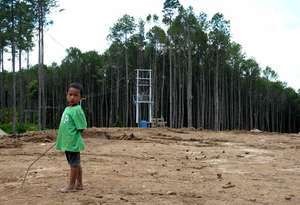 Ini Tantangan Program Transmigrasi Jokowi