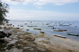 Libur Waisak, Coba Wisata Unik di Bali