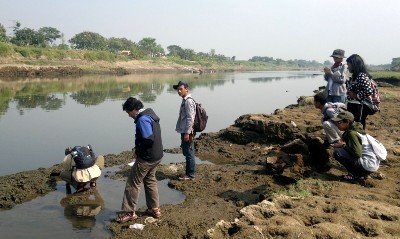 Mahasiswa Unair Teliti Fenomena Kemunculan Buaya di Kali Porong