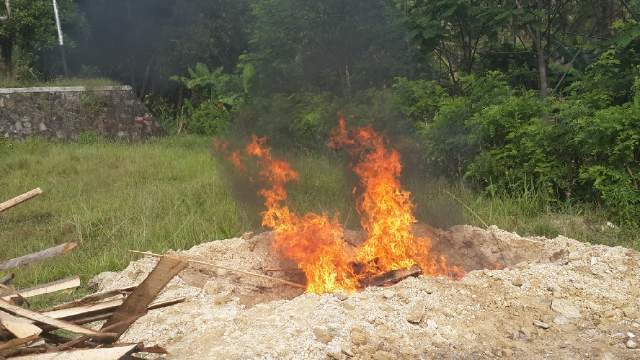 Karantina Kementan Kembali Musnahkan 1,5 Ton Daging Celeng Ilegal