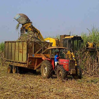 62 Pabrik Gula Tua di Indonesia Siap Dipensiunkan