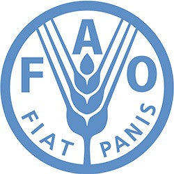 Dirjen Da Silva Dorong WNI Profesional Masuk FAO